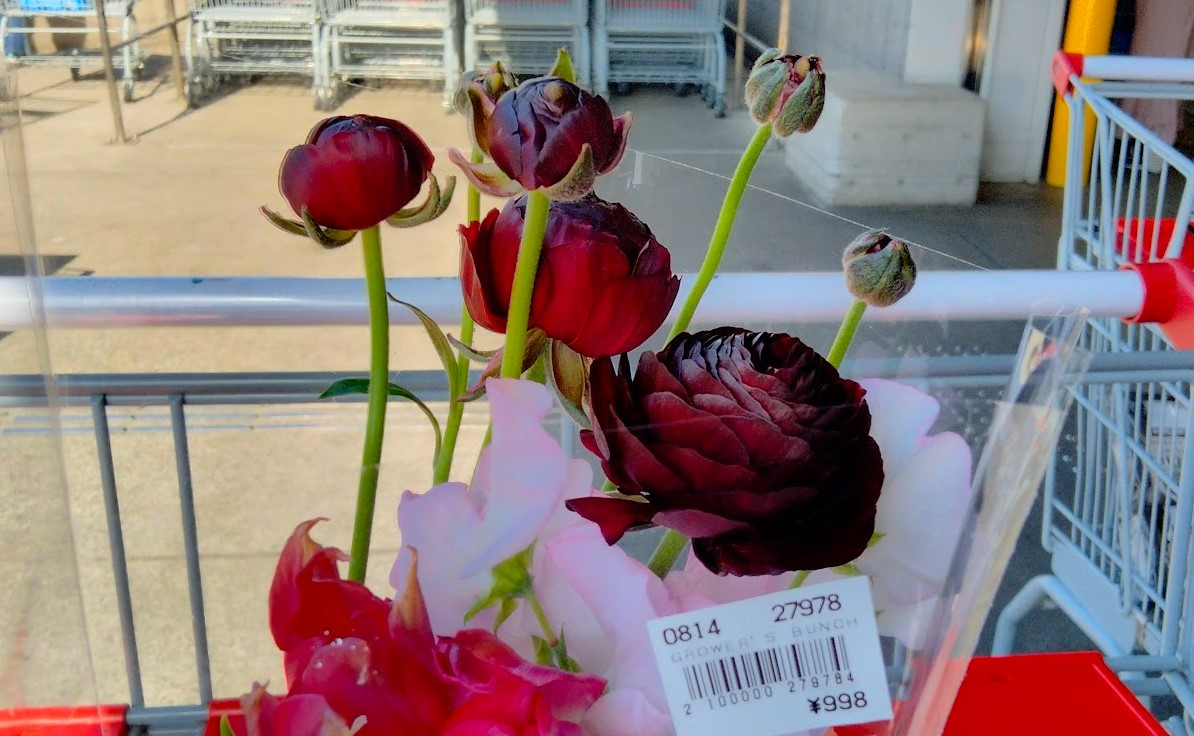 コストコホールセール川崎倉庫店の季節の花束（グロワーズバンチ）プレミアム