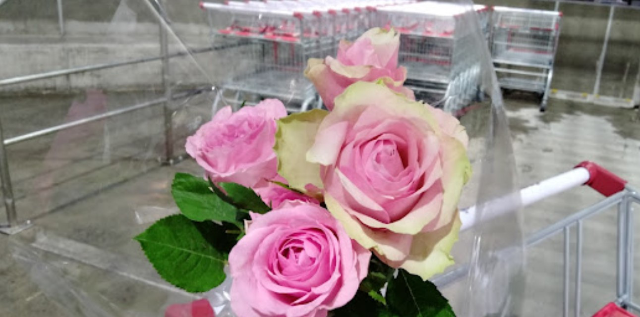 コストコホールセール川崎倉庫店季節の花束（グローワーズバンチ）ピンクローズセット