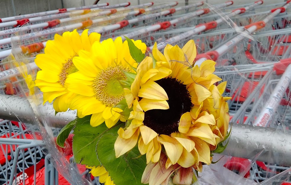 コストコホールセール川崎倉庫店の季節の花束ヒマワリ