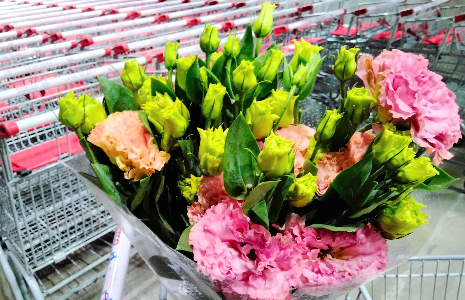 コストコホールセールジャパン川崎倉庫店２０２４年４月購入品トルコ桔梗（リシアンサス）八重咲きフリンジ系