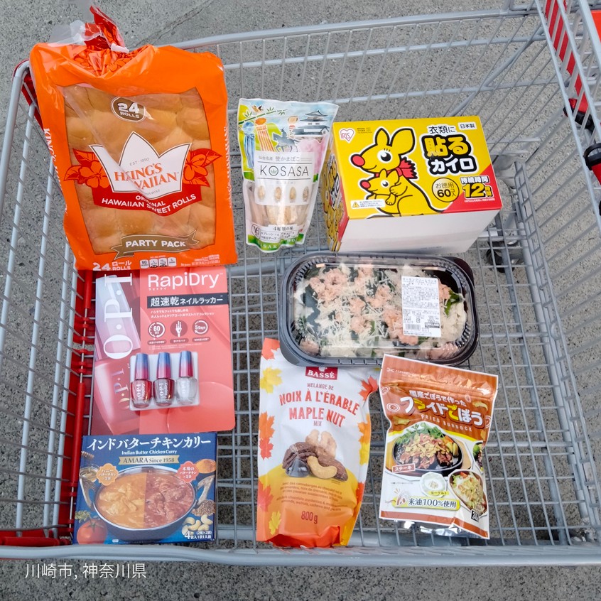 コストコホールセールジャパン川崎倉庫店2025年12月1回目の購入品