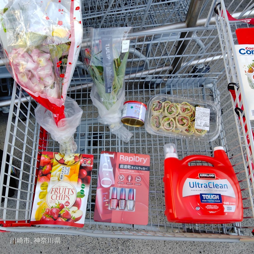 コストコホールセールジャパン川崎倉庫店2025年12月の購入品