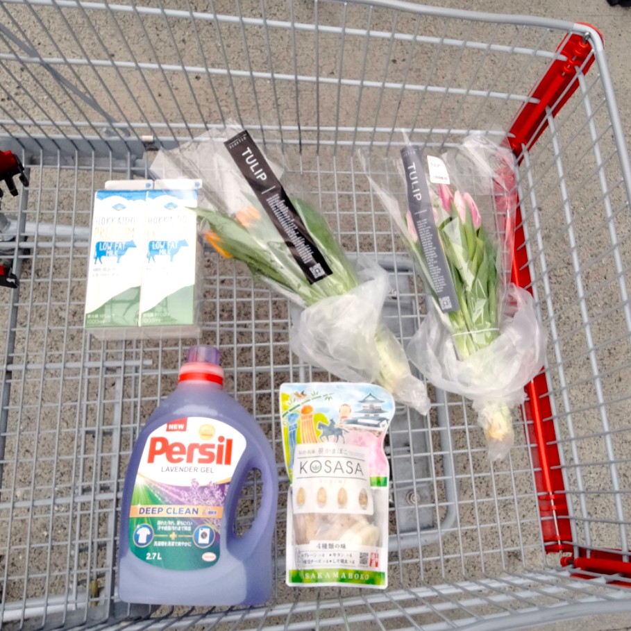 コストコホールセールジャパン川崎倉庫店２０２６年１月２回目の購入品