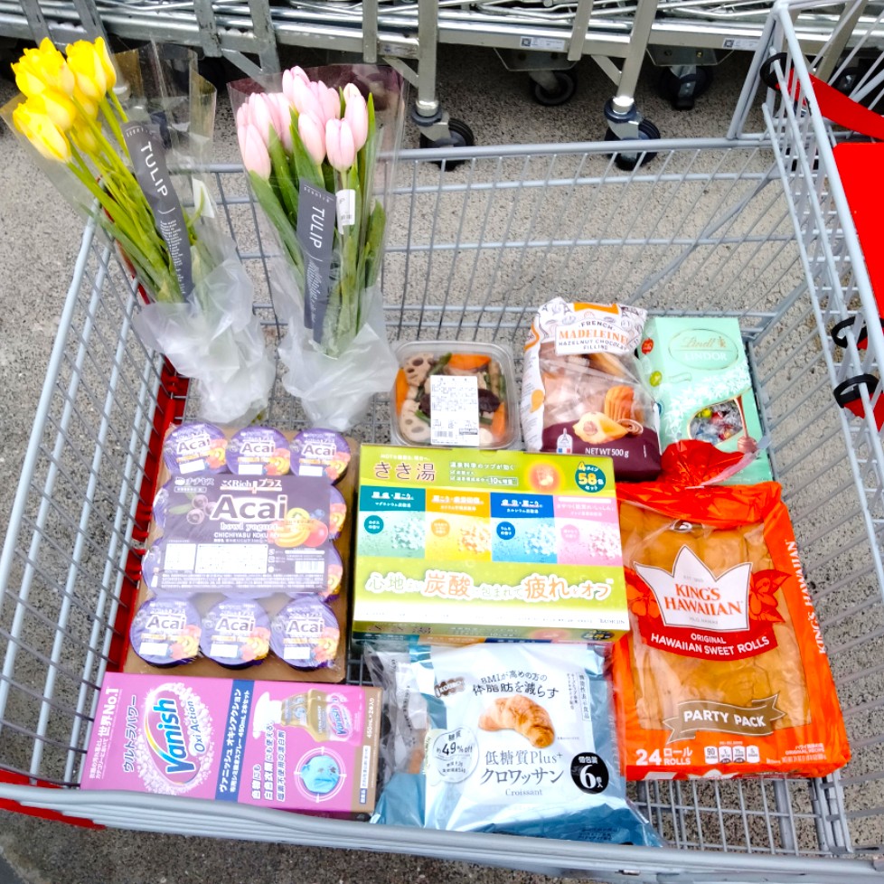 コストコホールセールジャパン川崎倉庫店２０２６年２月１回目の購入品