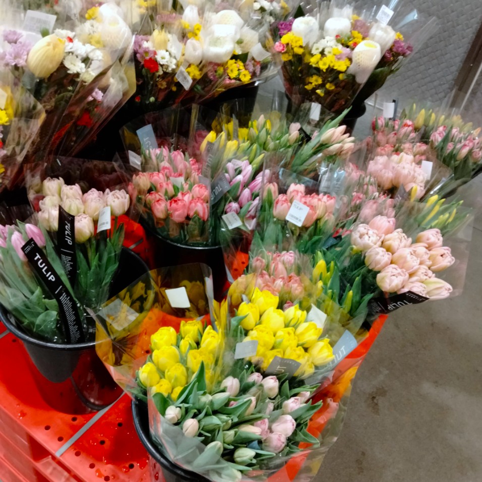 コストコホールセール川崎倉庫店２０２６年２月仏花と砺波産センティアチューリップ