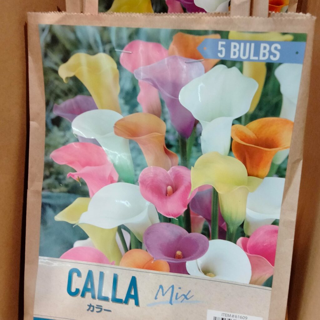コストコホールセール川崎倉庫店２０２６年２月春植球根プレミアムコレクション　カラー