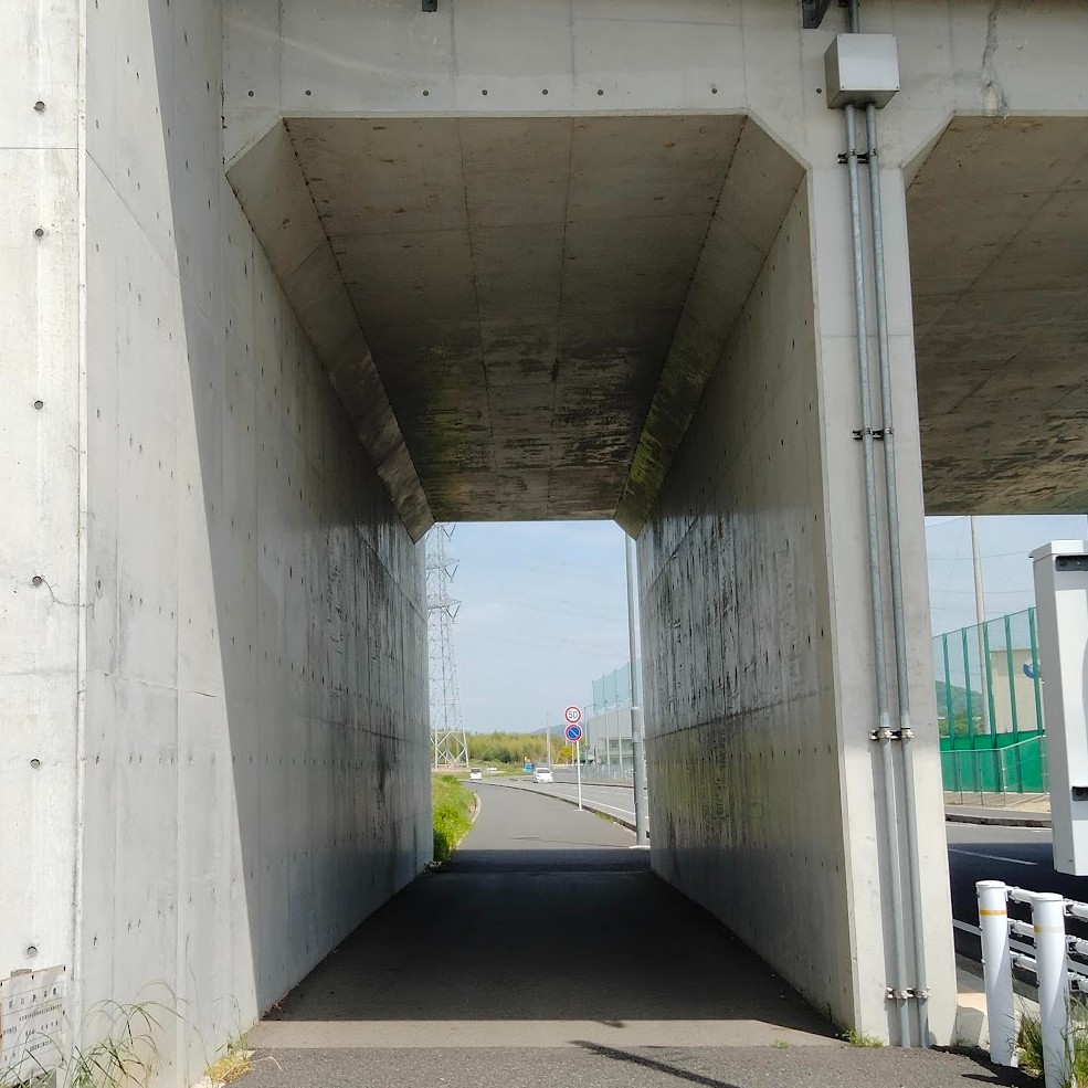 コストコホールセール守山倉庫店２０２６年４月（名古屋遠征）志段味環状線