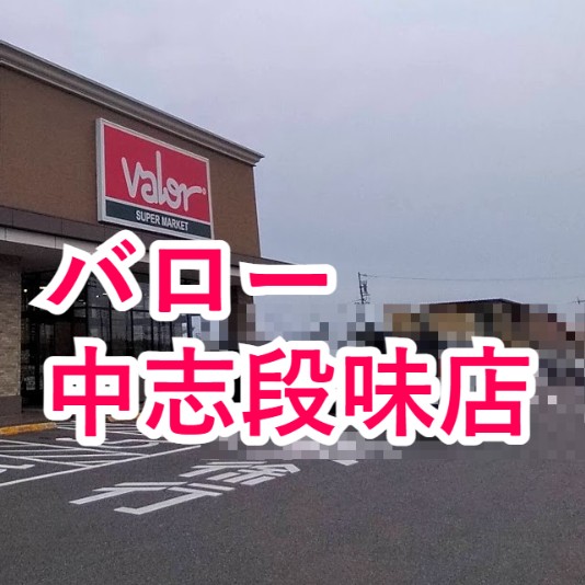 スーパーマーケットvalor（バロー）中志段味店２０２６年４月名古屋旅行